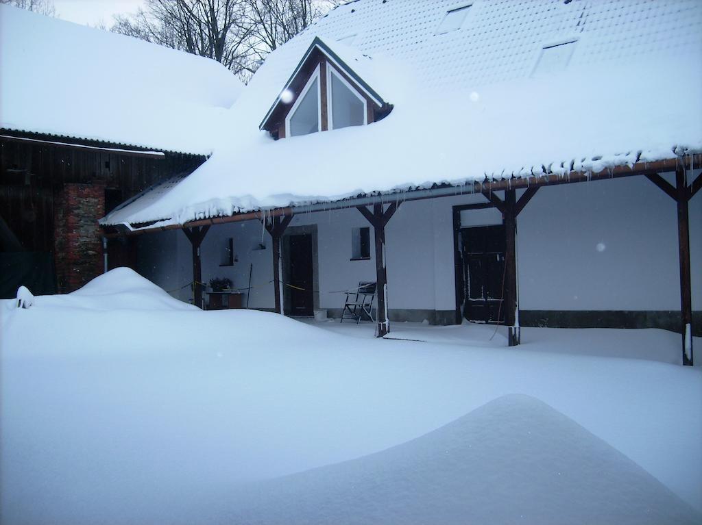 Penzion U Dvojice Hotel Nove Mesto na Morave Exterior photo